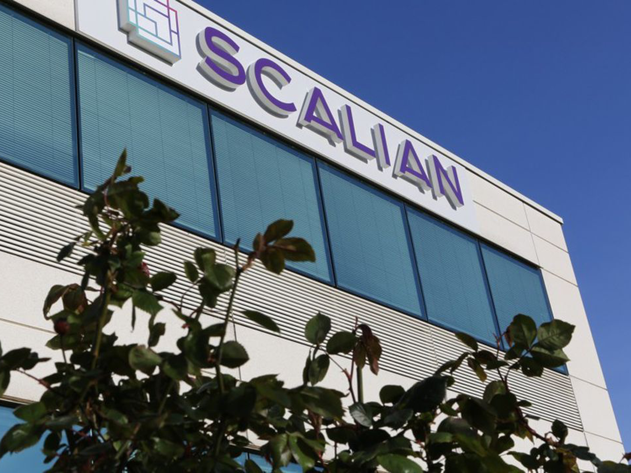 scaliansmall